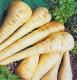How To Freeze Mashed Parsnip